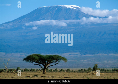 Le mont Kilimandjaro, le Parc national Amboseli, Kenya, Africa Banque D'Images