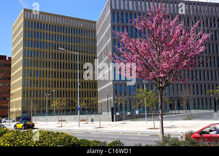 Ville de la Loi. Barcelone. L'Espagne. Banque D'Images