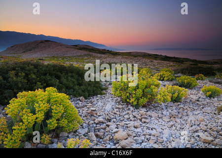 Lever du soleil sur l'île de Rab en Croatie Banque D'Images