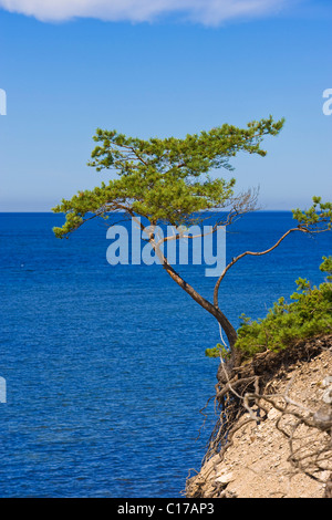 Panga Panga, falaises, l'île de Saaremaa, la mer Baltique, l'Estonie, pays Baltes, Europe du nord-est Banque D'Images