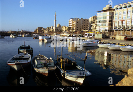 Bateaux de pêche dans le port de Tartous dans la lumière du midi, Syrie, Moyen-Orient, Asie Banque D'Images