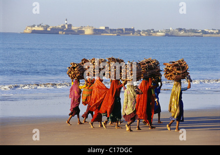 Mnp-62706 : les femmes de pêcheurs à Ahmedpur Mandvi Diu ; ; ; Inde Gujarat Banque D'Images