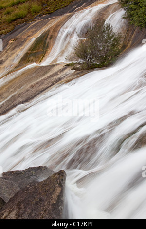 Eurobin Falls inférieur, le Mont Buffalo National Park, Victoria, Australie Banque D'Images