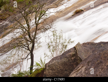 Eurobin Falls inférieur, le Mont Buffalo National Park, Victoria, Australie Banque D'Images