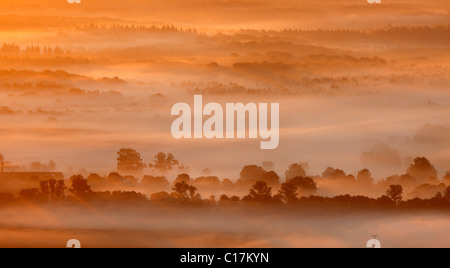 Photographie aérienne, Parc National de la Müritz, le lever du soleil, tôt le matin, le brouillard, le Mecklembourg Lake District, Rechlin Banque D'Images
