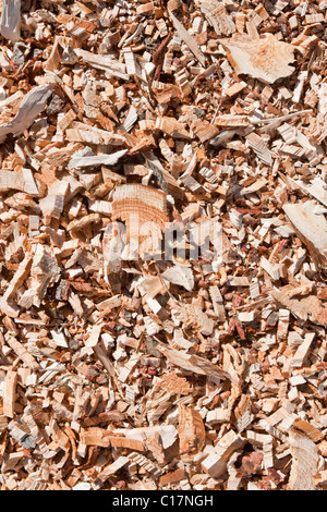 Faites du paillis de copeaux de bois tourné en lumière naturelle Banque D'Images