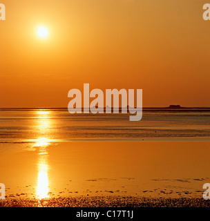 Coucher de soleil sur Hallig Nordstrandischmoor à Schleswig-Holstein mer des Wadden Parc National, Frise du Nord, Schleswig-Holstein Banque D'Images