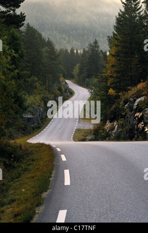 Route sinueuse dans les montagnes norvégiennes, Notodden Norvège Banque D'Images