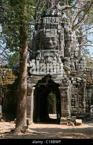 Ta Som temple à Angkor, Cambodge Banque D'Images