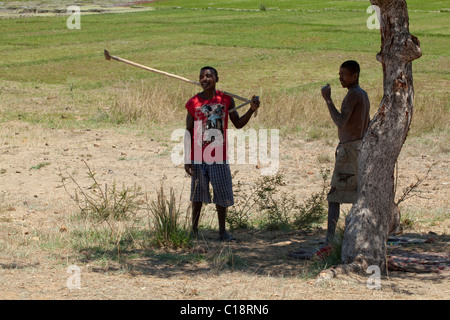 Les travailleurs agricoles du village à l'ombre sous un arbre dans le soleil de midi. Madagascar. Banque D'Images