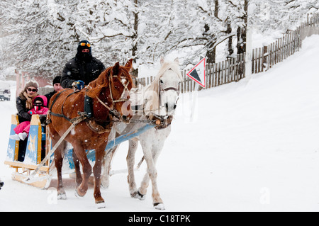 Conducteur de traîneau à chevaux transporte des passagers à travers les rues de Bakuriani Banque D'Images