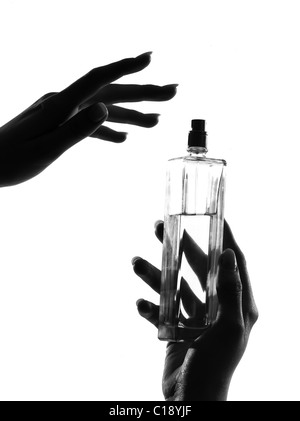 Detail close-up silhouette dans l'ombre d'une femme hands holding parfum dans studio isolé sur fond blanc Banque D'Images