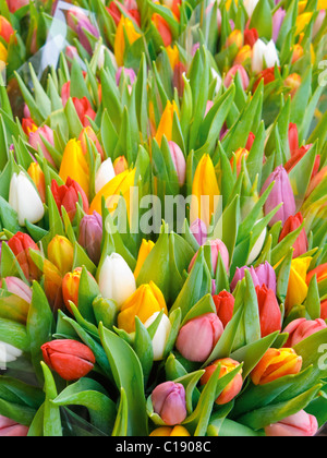 Bouquets de tulipes pour vente à la célèbre Bloemenmarket à Amsterdam. Banque D'Images