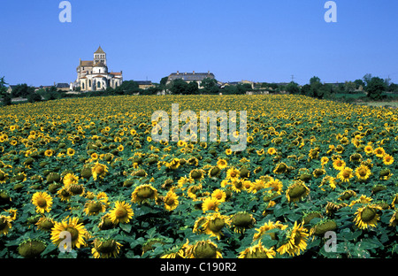 En France, deux Sevres, abbaye de Saint jouin de marne dans la région Thouarsais Banque D'Images