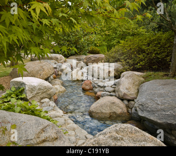 Vue d'un flux à travers l'érable japonais à Garten der Welt, Berlin Banque D'Images