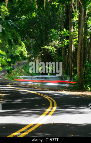Location de voiture sur route touristique 'Pepe'Four-Mile ekeo Scenic Drive', Big Island, Hawaii, Hawaii, USA Banque D'Images