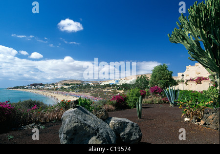 À côté de la plage de Costa Calma, Fuerteventura, Canary Islands, Spain, Europe Banque D'Images