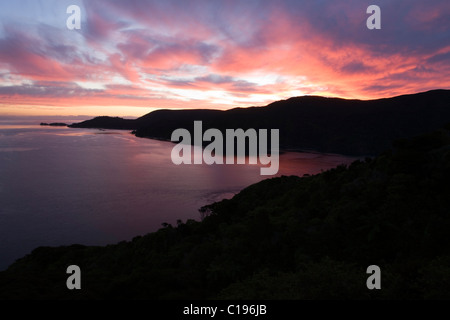 Paysage verdoyant de collines dans la région de Marlborough Sounds dans la lumière du soir, Marlborough, île du Sud, Nouvelle-Zélande Banque D'Images