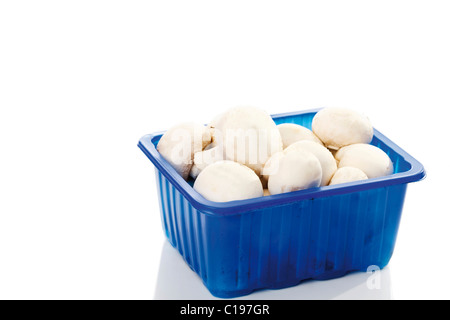 Champignons de Paris dans une boîte en plastique Banque D'Images