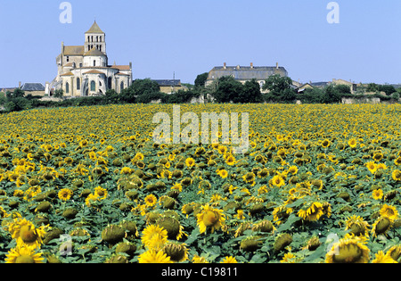 En France, deux Sevres, abbaye de Saint Jouin de Marnes dans le Thouarsais Banque D'Images