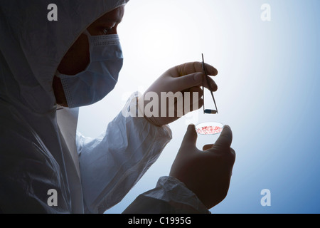 L'exécution de travaux de laboratoire des chimistes Banque D'Images