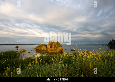 Bolder Rocks dans Kaesmu, parc national de Lahemaa, l'Estonie, pays Baltes, Europe Banque D'Images