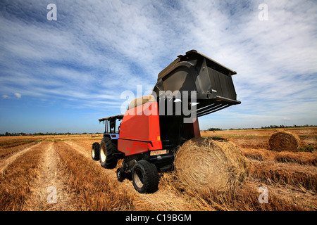 Une énorme botte de collecte du tracteur dans le champ dans une belle journée ensoleillée bleu Banque D'Images