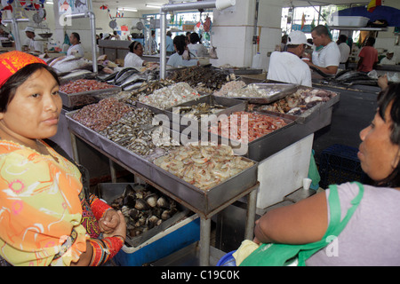 Panama,Latin,Amérique Centrale,Panama City,Ancon,Mercado de Mariscos,marché,marchand,shopping shopper shoppers magasins marché marchés acheter Banque D'Images