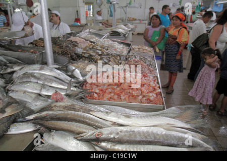 Panama,Latin,Amérique Centrale,Panama City,Ancon,Mercado de Mariscos,marché,marchand,shopping shopper shoppers magasins marché marchés acheter Banque D'Images