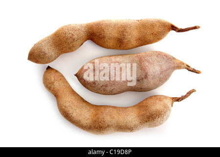 Fruits isolés Tamarind Tamarindus indica Légumineuses Banque D'Images