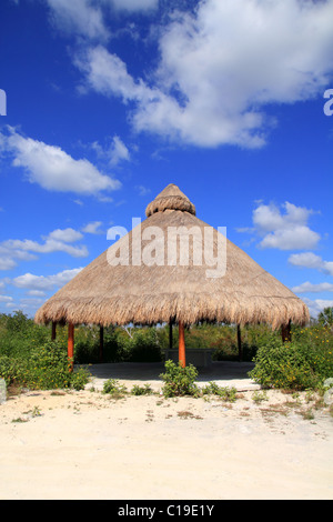 Grande hutte Palapa toit ouvrant en Mexique Riviera Maya jungle Banque D'Images