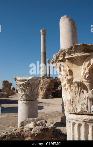 La Tunisie, Carthage, les ruines romaines, colonnes, colonne Banque D'Images