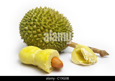 Piquante, épineux Durian Durio zibethinus (fruits). Les fruits entiers et les segment semence. Tourné sur blanc. Banque D'Images