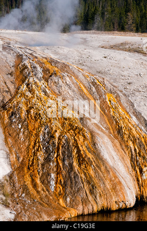 Geyser Hill, Views from Old Faithful Inn,Piscines,Mudpots,sulfureuse,fumerolles, Yellowstone National Park, Wyoming, USA Banque D'Images