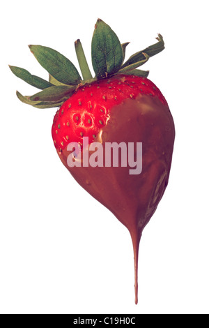 Fraise dans le chocolat sur fond blanc Banque D'Images