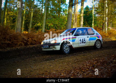 En voiture de Rallye Rallye Tempest Banque D'Images