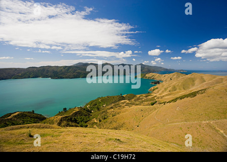 La French Pass, une vue sur Marlborough Sounds, île du sud Nouvelle-zélande Banque D'Images