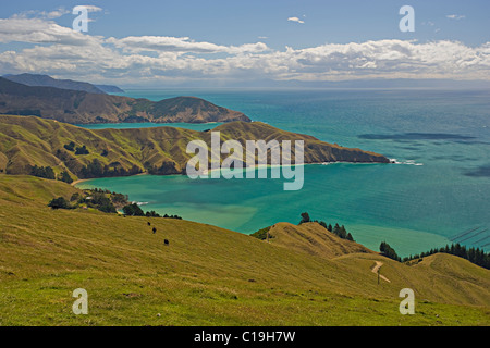 La French Pass, une vue sur Marlborough Sounds, île du sud Nouvelle-zélande Banque D'Images