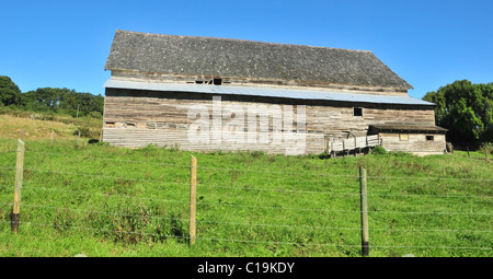 Vue du ciel bleu d'Chilean-German grange avec planche en bois murs et toiture bardeaux dans un champ d'herbe verte, près de Frutillar, Chili Banque D'Images