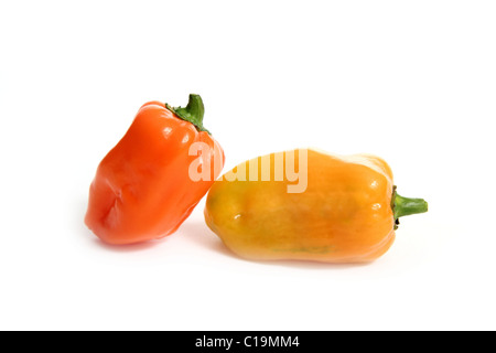 Capsicum Habanero piment poivre plus chaude dans le monde depuis le Mexique Banque D'Images