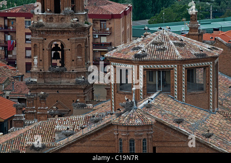 Cigogne blanche Ciconia ciconia colonie sur cathédrale en Alfaro Espagne Banque D'Images