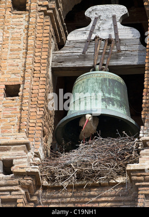 Cigogne blanche Ciconia ciconia en nidification cathedral bell Alfaro Espagne Banque D'Images