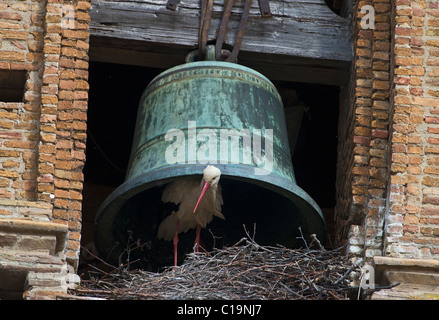 Cigogne blanche Ciconia ciconia en nidification cathedral bell Alfaro Espagne Banque D'Images