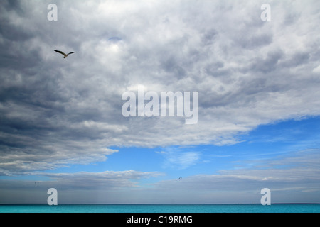 Ciel nuageux Ciel dramatique dans l'océan de la mer turquoise des Caraïbes Banque D'Images