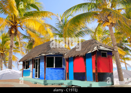 Hut palapa coloré avec cabine et de palmiers tropicaux Banque D'Images