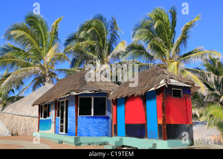 Hut palapa coloré avec cabine et de palmiers tropicaux Banque D'Images