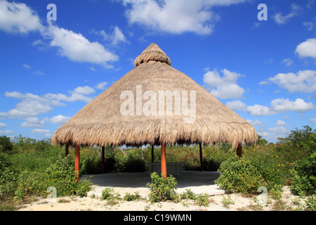 Grande hutte Palapa toit ouvrant en Mexique Riviera Maya jungle Banque D'Images