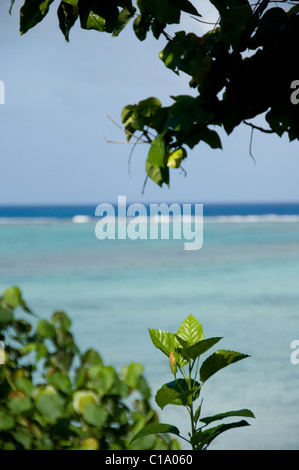 Pacific Resort Aitutaki, Îles Cook Banque D'Images