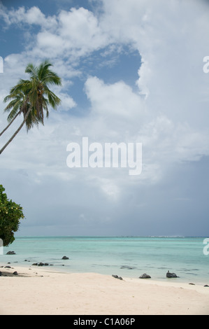 Pacific Resort Aitutaki, Îles Cook Banque D'Images