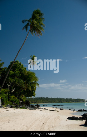 Pacific Resort Aitutaki, Îles Cook, Banque D'Images